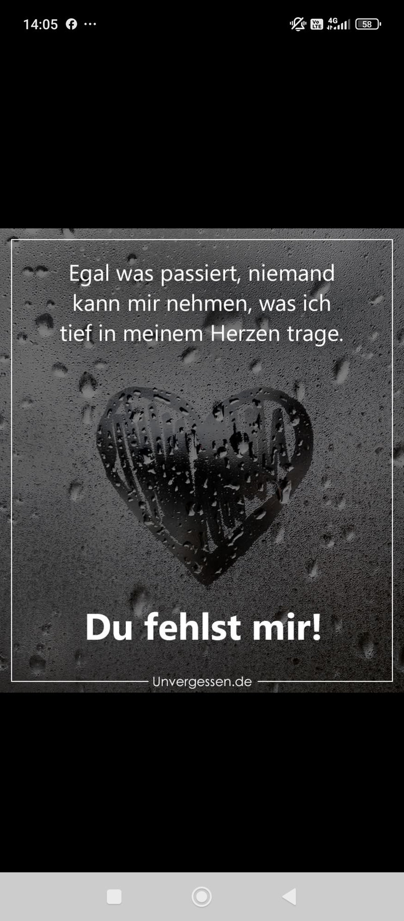Bild des Liedes