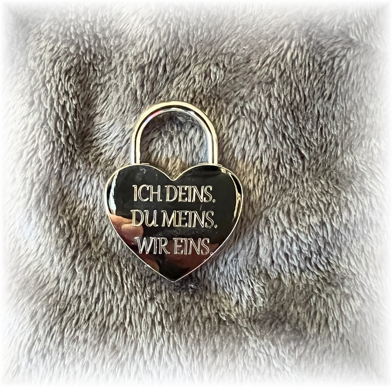 Bild des Liedes