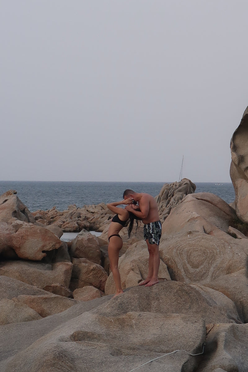 Bild des Liedes