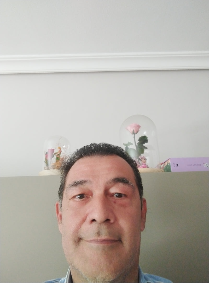 Bild des Liedes