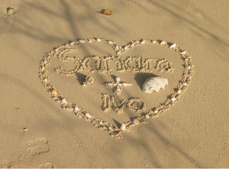 Image de la chanson