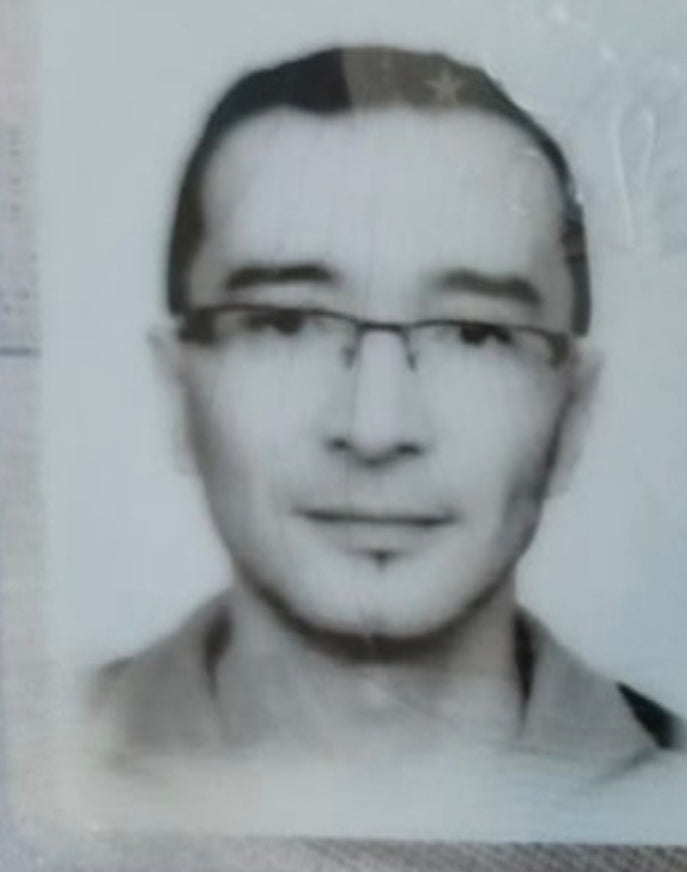 Bild des Liedes