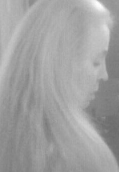 Bild des Liedes