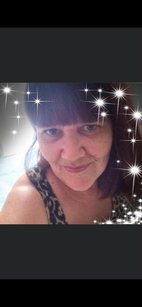 Bild des Liedes