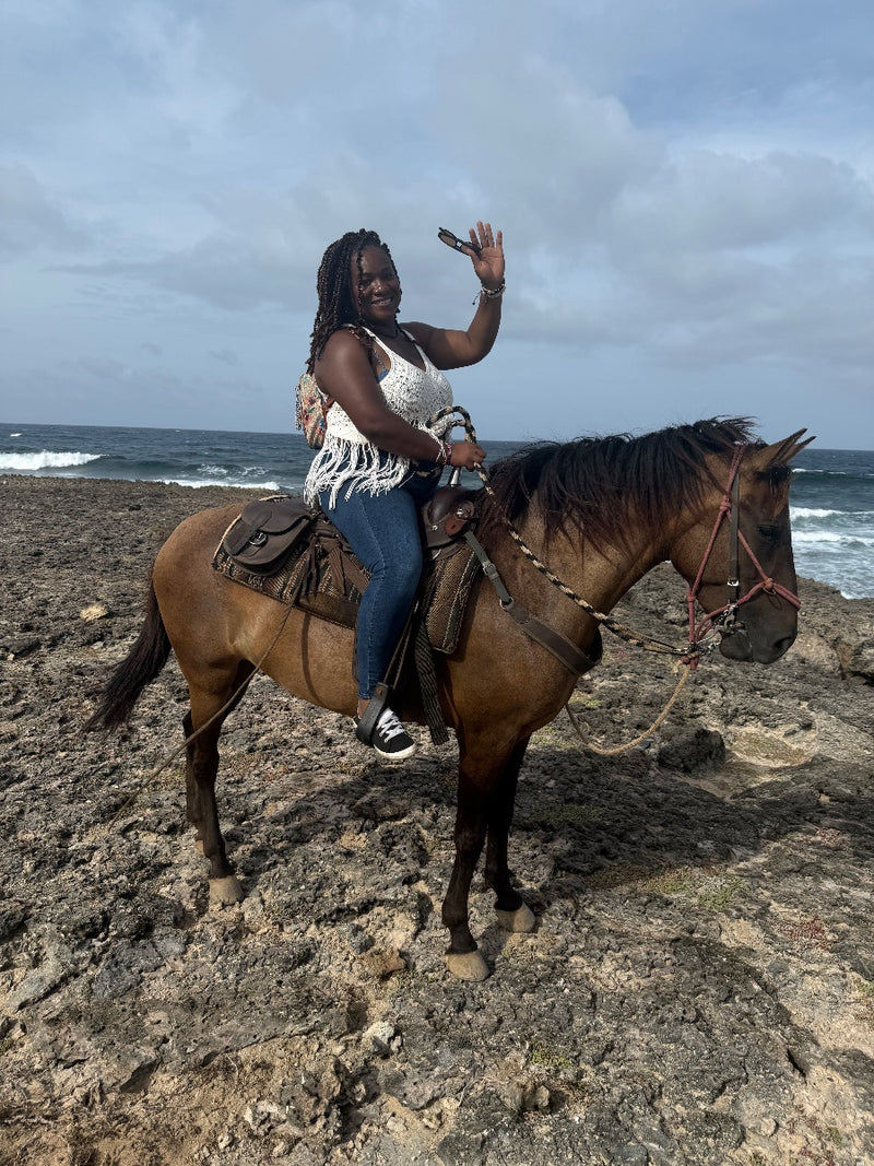 Bild des Liedes